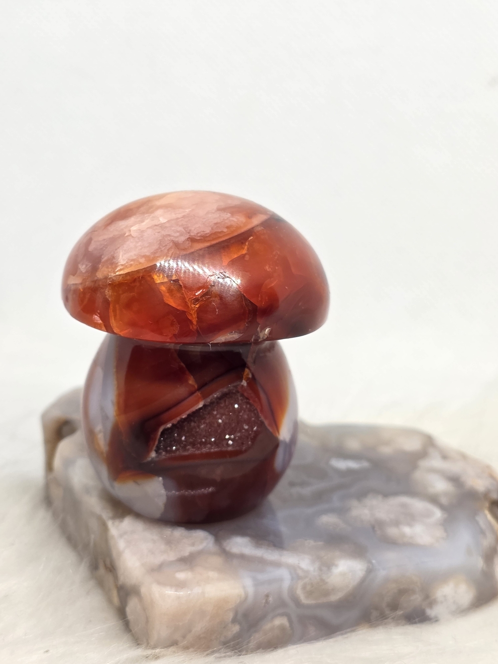 Carnelian Agate Mushroom Carving with Druzy Pocket | Crystal Mushroom |Statement